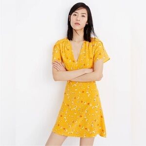 Madewell Belladonna silk dress